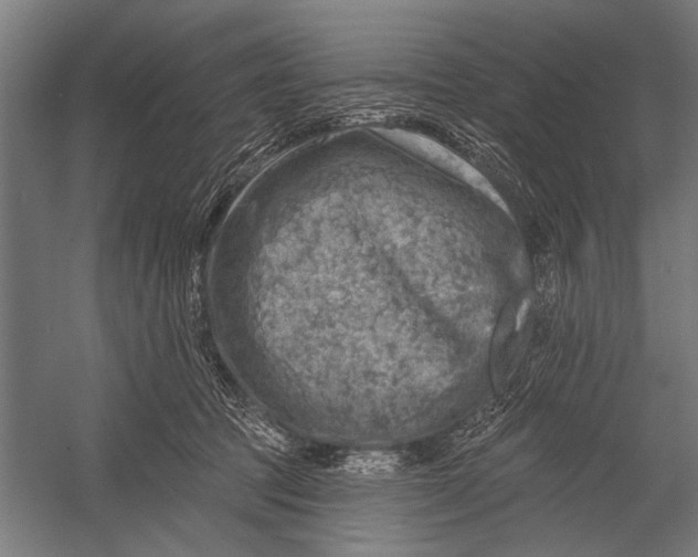 X0000052930369200507292358