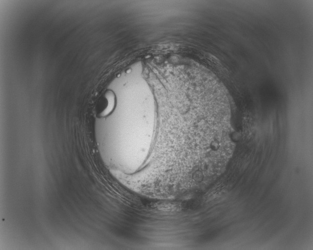 X0000052930370200507292358