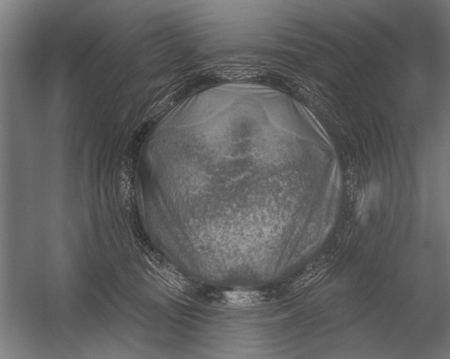 X0000052930371200507292358