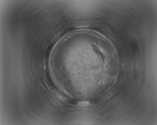 X0000052930374200507292358