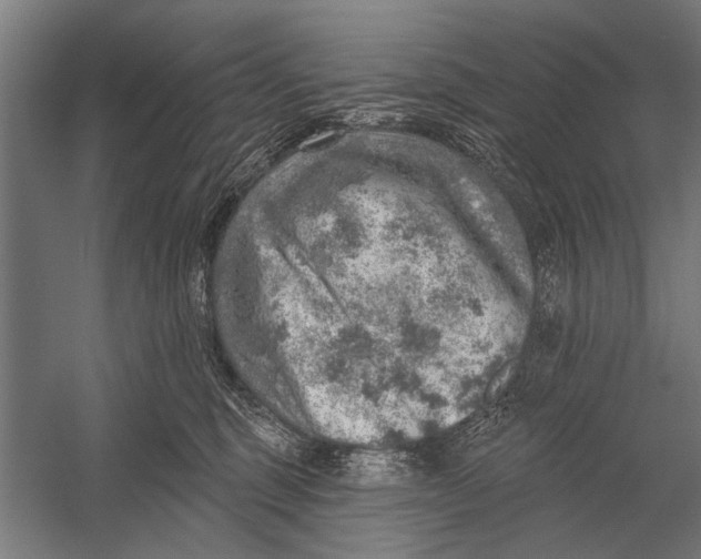 X0000052930375200507292358