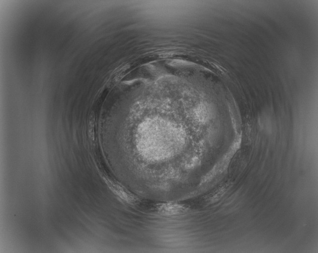 X0000052930379200507292358