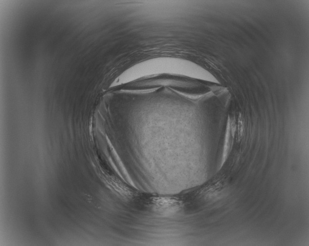 X0000052930380200507292358