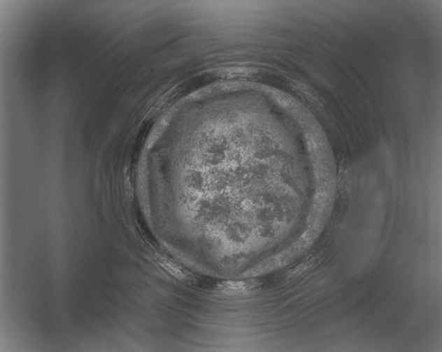 X0000052930381200507292358