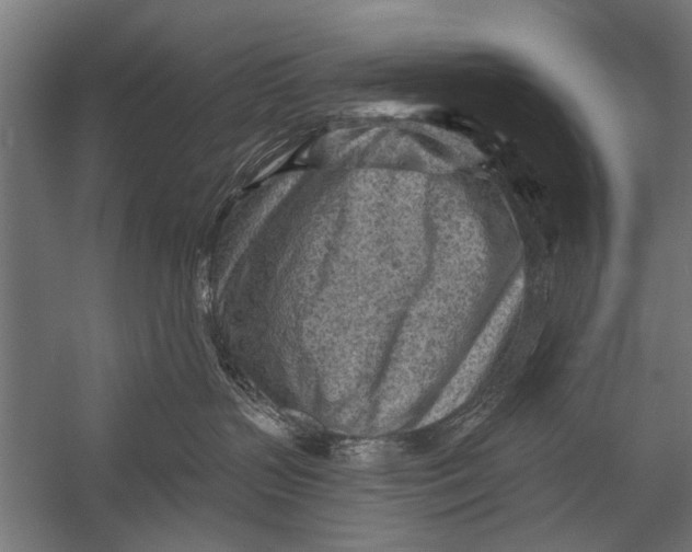 X0000052930383200507292358