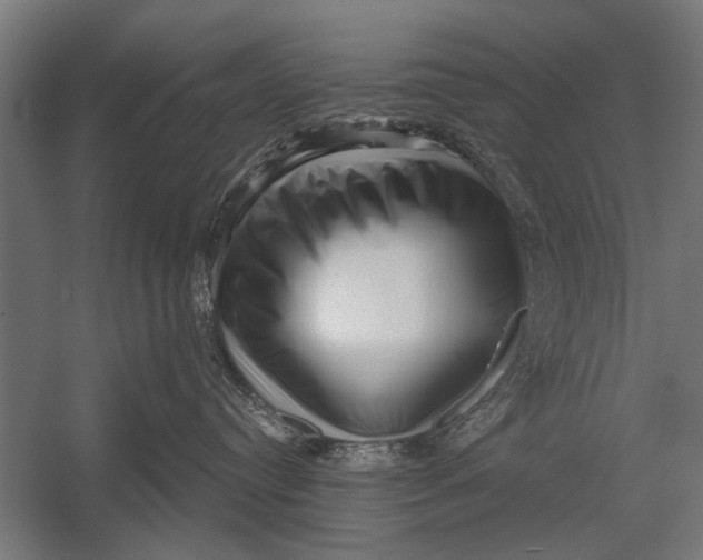 X0000052930384200507292358