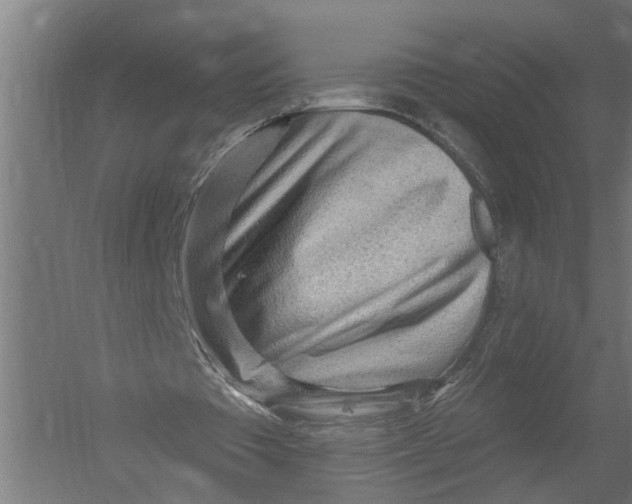 X0000052930385200507292358