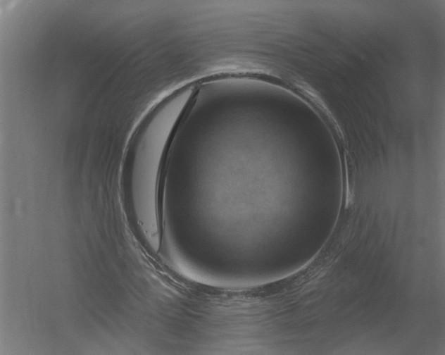 X0000052930387200507292358