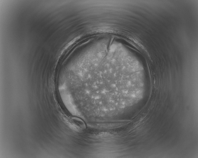 X0000052930390200507292358