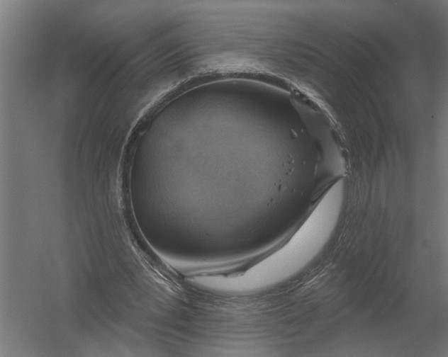 X0000052930391200507292357