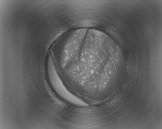 X0000052930394200507292357