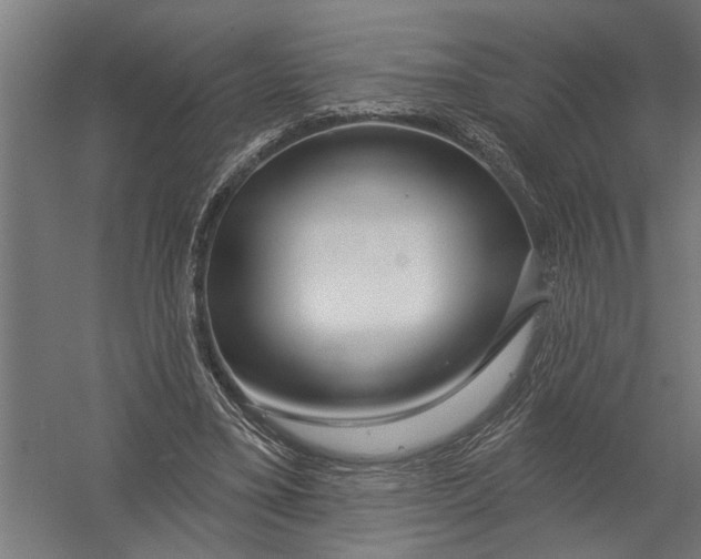 X0000052930395200507292357