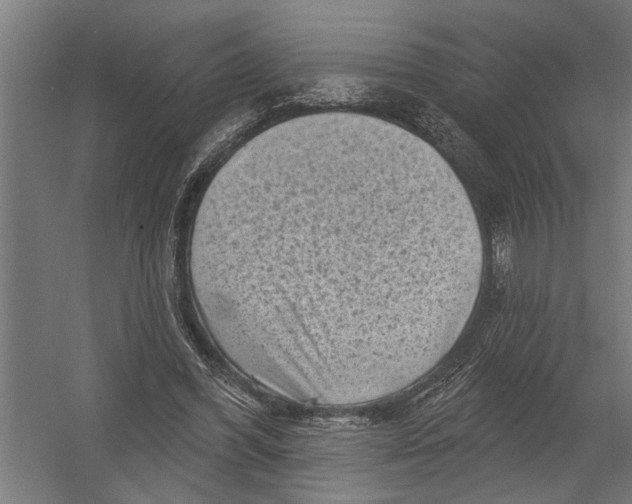 X0000052930396200507292357