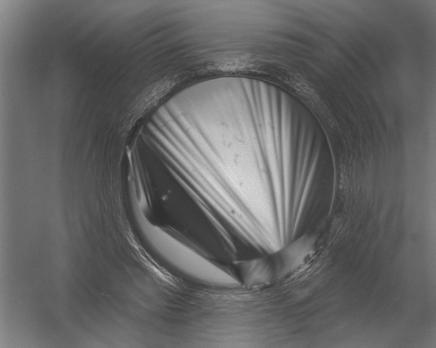 X0000052930397200507292357