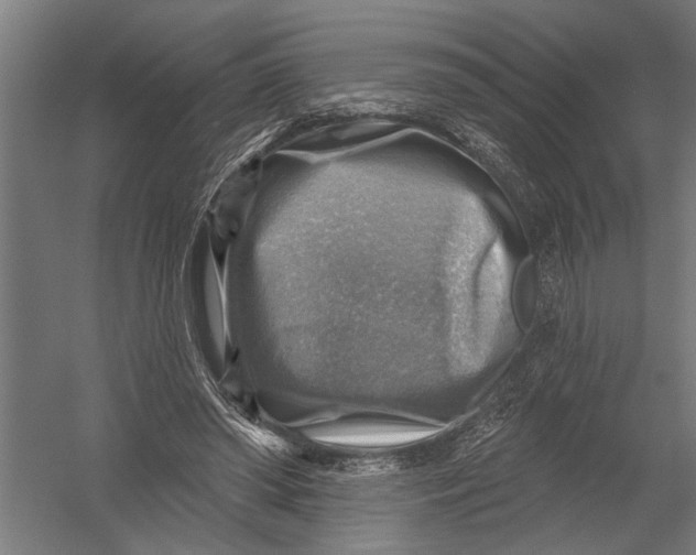 X0000052930398200507292357