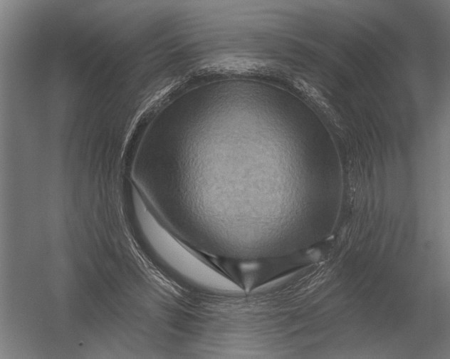 X0000052930399200507292357