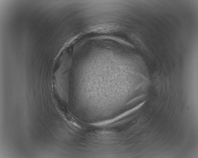 X0000052930400200507292357