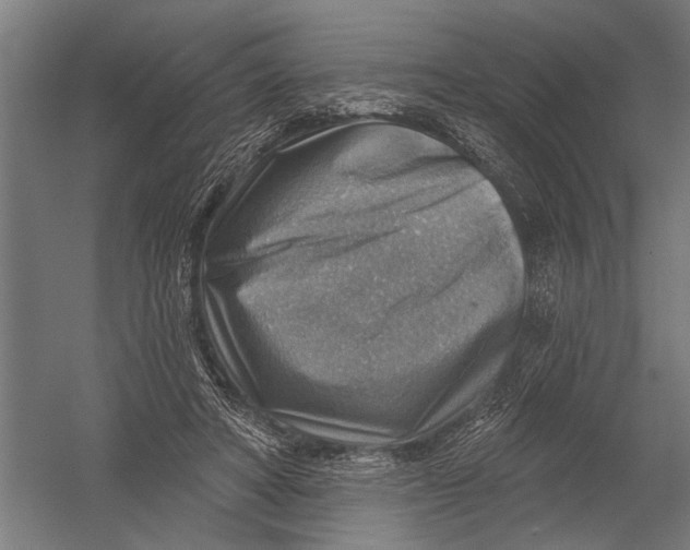 X0000052930402200507292357