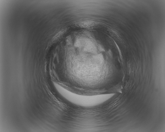 X0000052930404200507292357