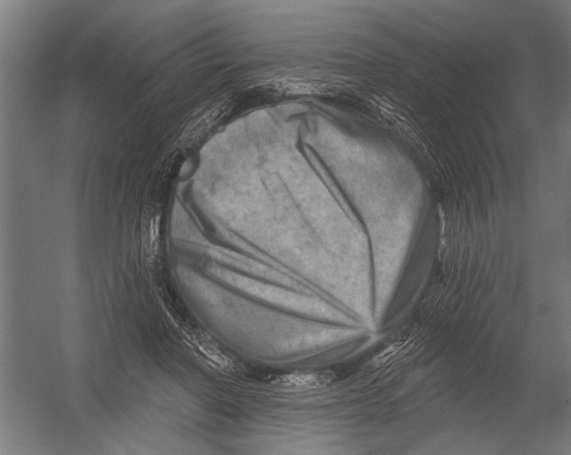 X0000052930406200507292357