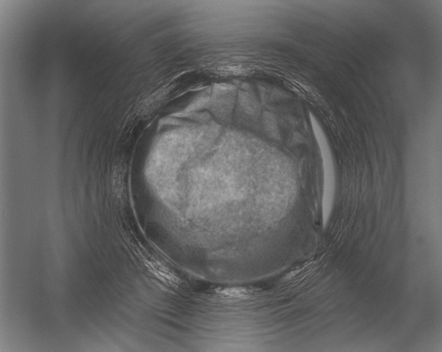 X0000052930409200507292357