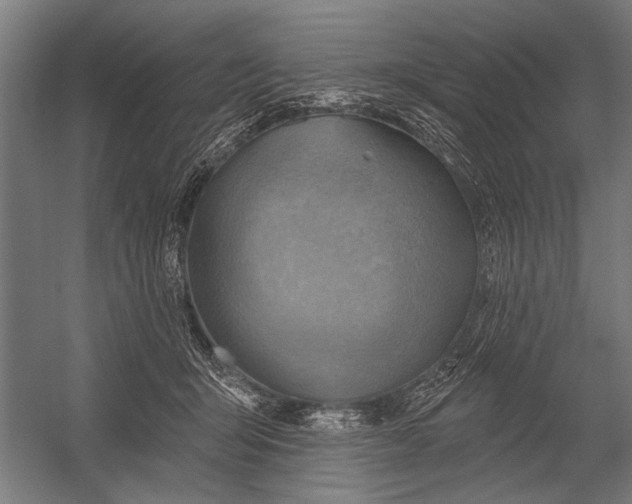 X0000052930415200507292357