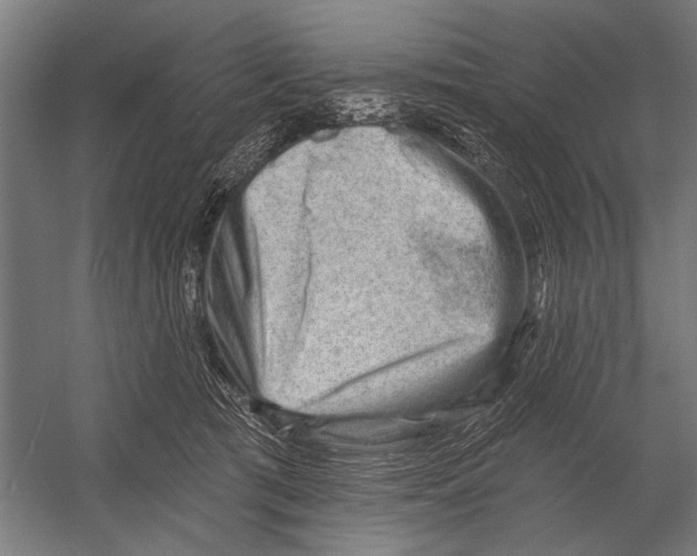 X0000052930417200507292357