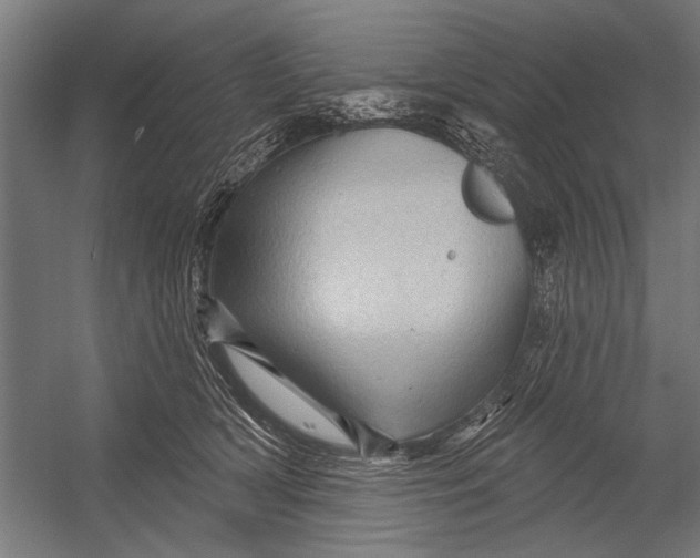 X0000052930418200507292357