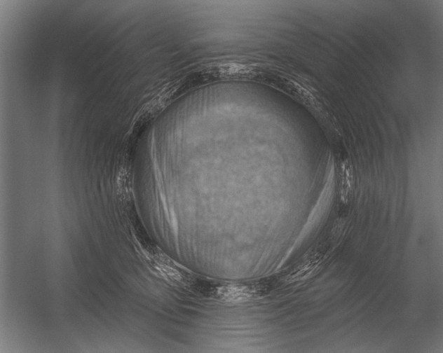 X0000052930419200507292357