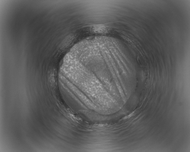 X0000052930424200507292357