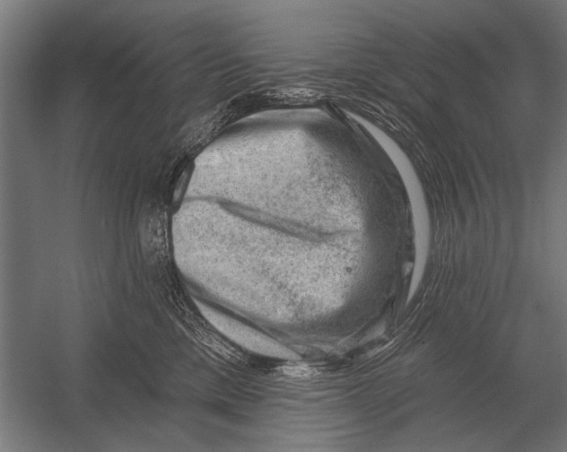 X0000052930425200507292357