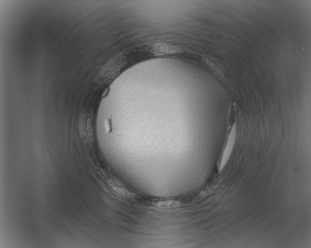 X0000052930426200507292357