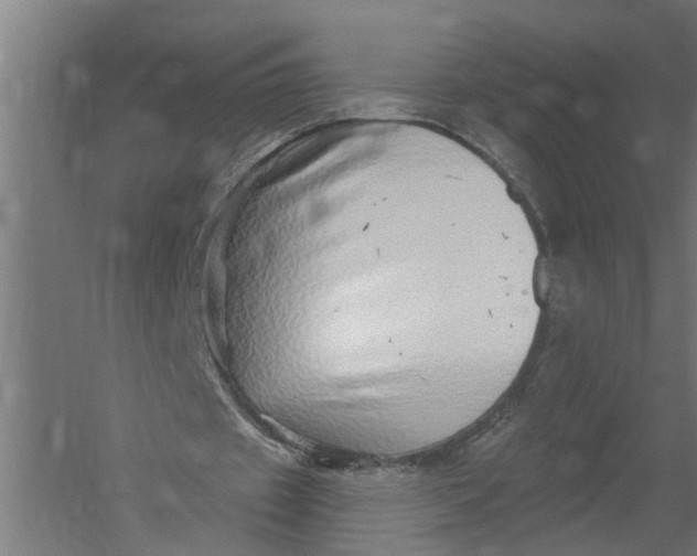 X0000052930433200507292356