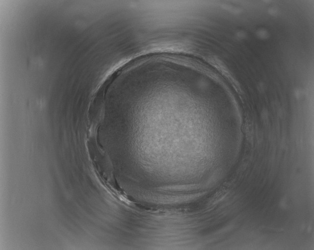 X0000052930434200507292356