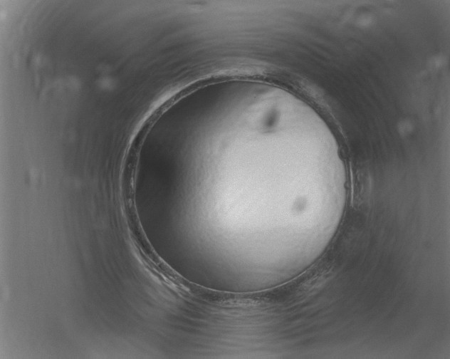 X0000052930435200507292356