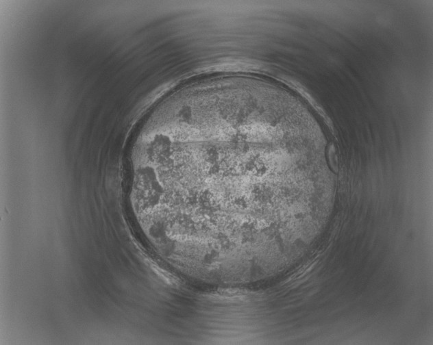 X0000052930437200507292356