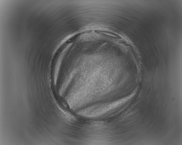 X0000052930438200507292356