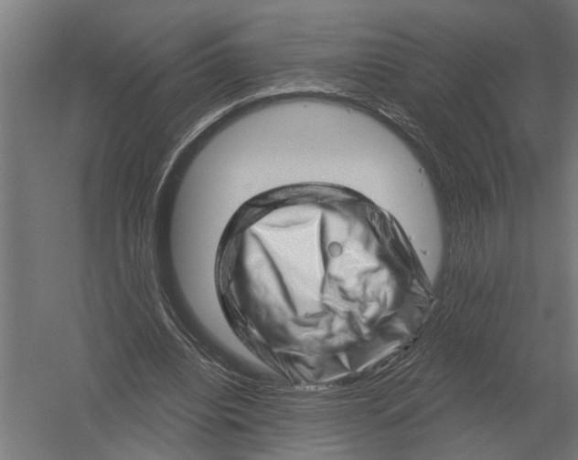 X0000052930440200507292356