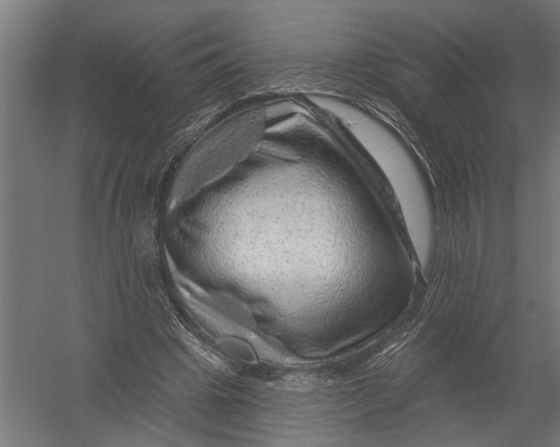 X0000052930441200507292356