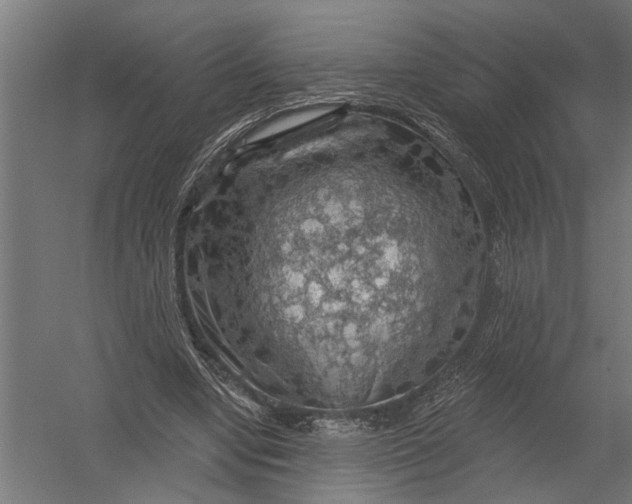 X0000052930442200507292356