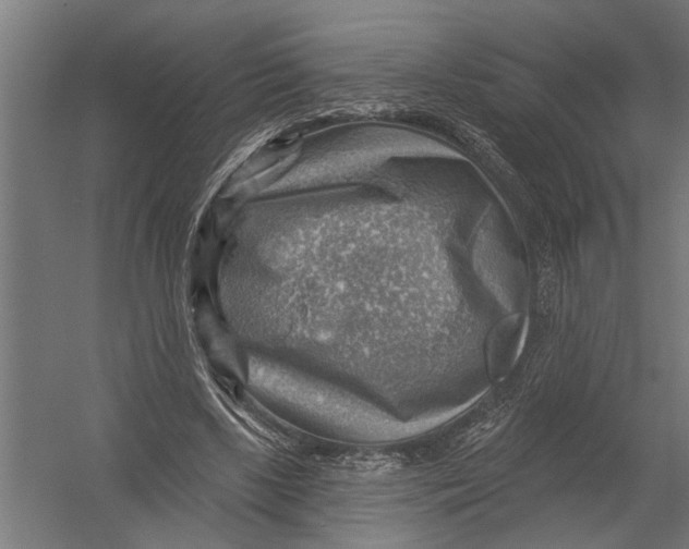 X0000052930443200507292356