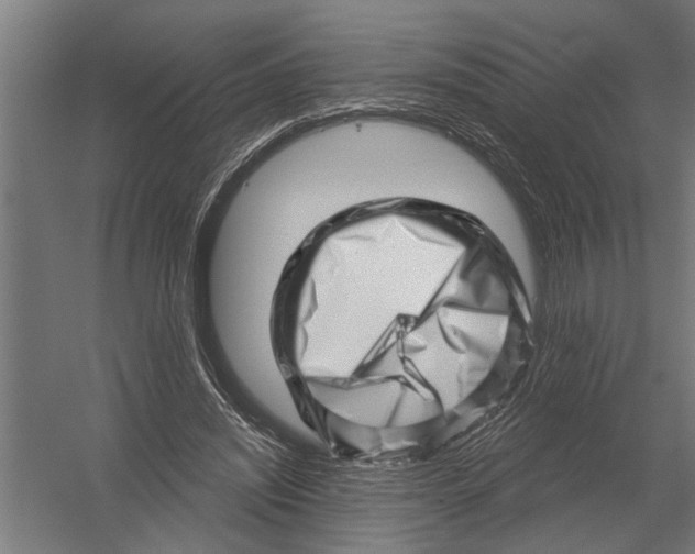 X0000052930444200507292356