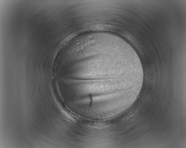 X0000052930445200507292356