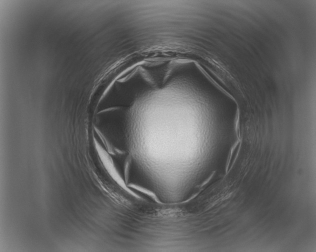 X0000052930446200507292356