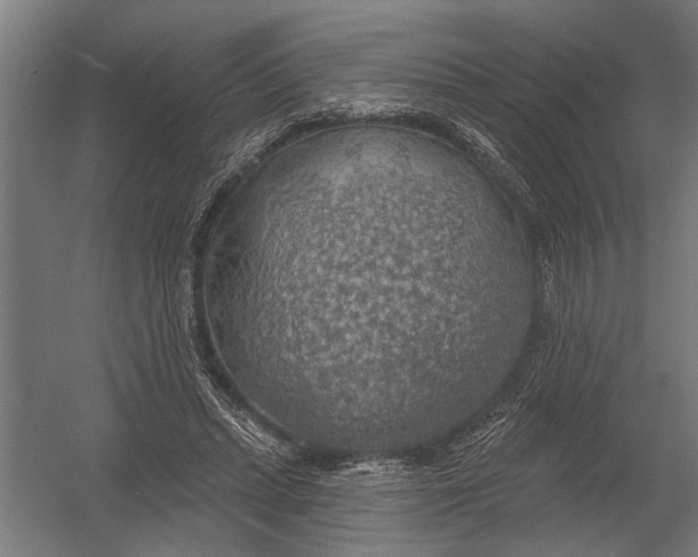 X0000052930447200507292356