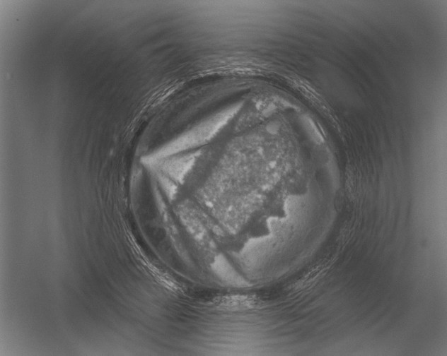 X0000052930449200507292356