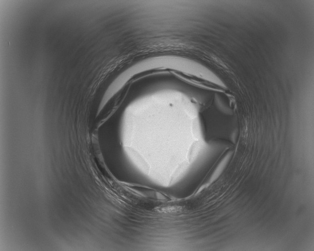 X0000052930452200507292356