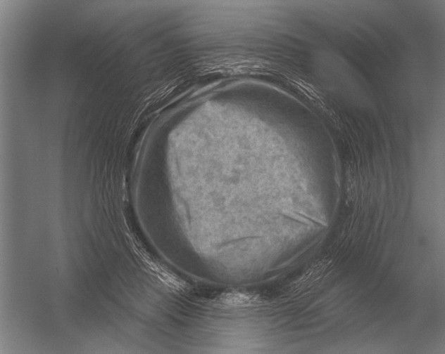 X0000052930453200507292356