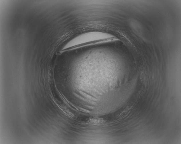 X0000052930455200507292356