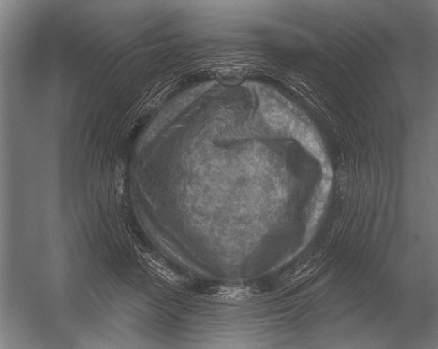 X0000052930458200507292356